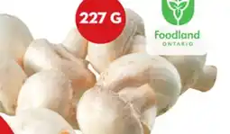 Giant Tiger 227 g whole white mushrooms offer