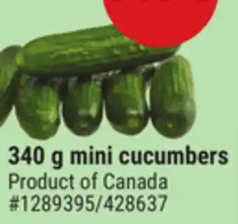 Giant Tiger 340 g mini cucumbers offer