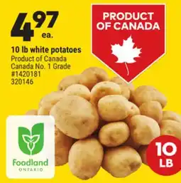 Giant Tiger 10 lb white potatoes offer