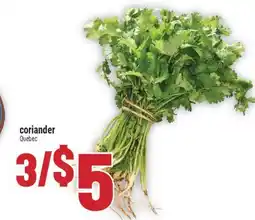 Marché Adonis Coriander offer