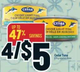 Marché Adonis Cedar Tuna offer