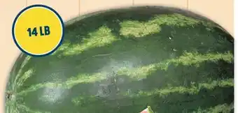 Marché Adonis Whole seedless watermelon offer