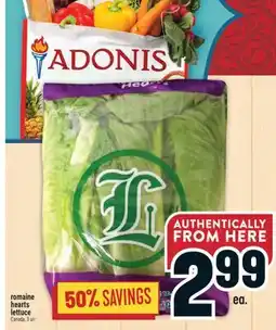 Marché Adonis Romaine hearts lettuce offer