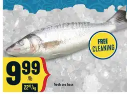 Marché Adonis FRESH SEA BASS offer