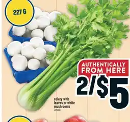 Marché Adonis Celery with leaves or white mushrooms offer