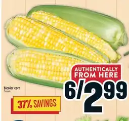 Marché Adonis Bicolor corn offer