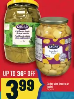 Marché Adonis Cedar vine leaves or lupini offer