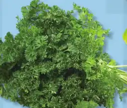 IGA FRESH CURLY PARSLEY offer