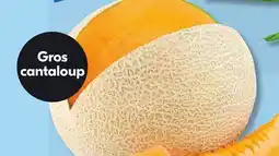 IGA CANTALOUPE offer