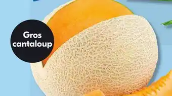 IGA CANTALOUPE offer