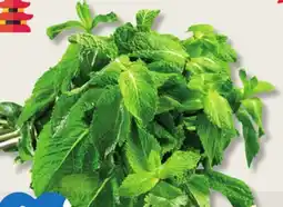 IGA MINT offer