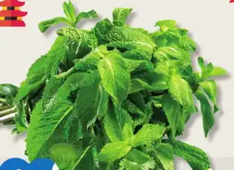 IGA MINT offer