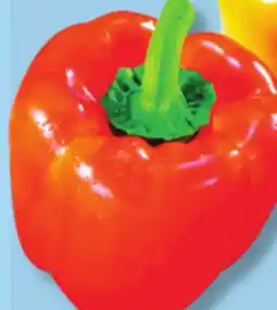 IGA SWEET ORANGE PEPPERS offer