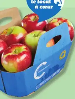 IGA COMPLIMENTS PAULARED, JERSEY MAC OR SUNRISE APPLES offer
