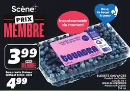 IGA WILD BLUEBERRIES offer