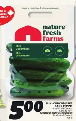 IGA SEEDLESS MINI CUCUMBERS offer