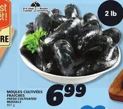 IGA FRESH CULTIVATED MUSSELS offer