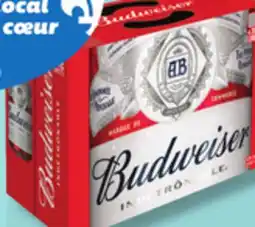 IGA BUDWEISER BEER offer