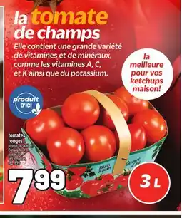 Metro TOMATES ROUGES | RED TOMATOES offer