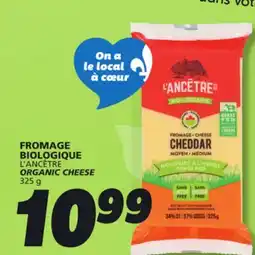 IGA ORGANIC CHEESE offer