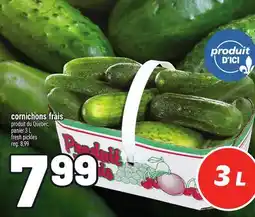 Metro CORNICHONS FRAIS | FRESH PICKLES offer