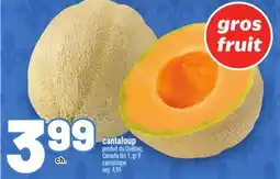 Metro CANTALOUP | CANTALOUPE offer