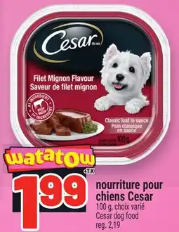 Metro NOURRITURE POUR CHIENS CESAR | CESAR DOG FOOD offer