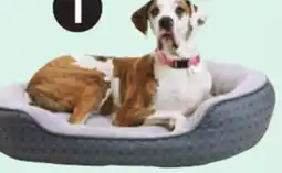 Canadian Tire Dog Bed, 43˝ x 37˝ offer