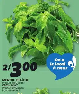 IGA FRESH MINT offer
