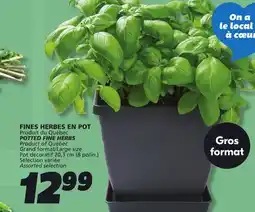 IGA POTTED FINE HERBS offer