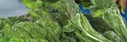 IGA RAINBOW SWISS CHARD offer