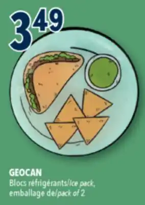 Familiprix GEOCAN Ice pack, pack of 2 offer
