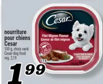 Marché Richelieu NOURRITURE POUR CHIENS CESAR | CESAR DOG FOOD offer