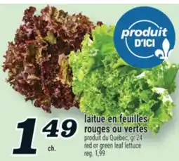 Marché Richelieu LAITUE EN FEUILLES ROUGES OU VERTES | RED OR GREEN LEAF LETTUCE offer
