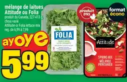 Super C MÉLANGE DE LAITUES ATTITUDE OU FOLIA | ATTITUDE OR FOLIA LETTUCE MIX offer