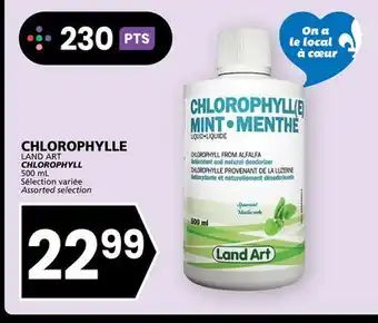 Rachelle-Bery Grocery LAND ART CHLOROPHYLL offer