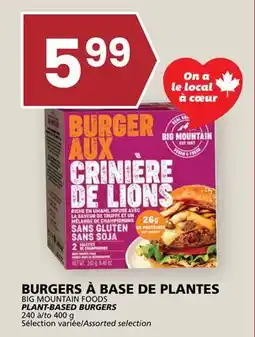 Rachelle-Bery Grocery BIG MOUNTAIN FOODS PLANT-BASED BURGERS offer