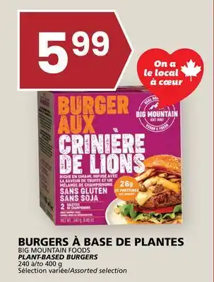 Rachelle-Bery Grocery BIG MOUNTAIN FOODS PLANT-BASED BURGERS offer