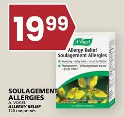 Rachelle-Bery Grocery A. VOGEL ALLERGY RELIEF offer