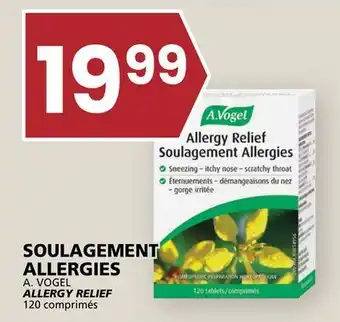 Rachelle-Bery Grocery A. VOGEL ALLERGY RELIEF offer