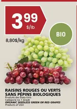 Rachelle-Bery Grocery ORGANIC SEEDLESS GREEN OR RED GRAPES offer
