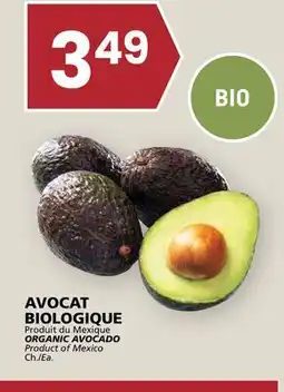 Rachelle-Bery Grocery ORGANIC AVOCADO offer