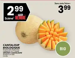 Rachelle-Bery Grocery ORGANIC CANTALOUPE offer