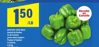 Maxi POIVRONS VERTS DOUX | GREEN SWEET PEPPERS offer