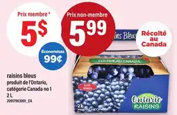 Maxi RAISINS BLEUS, 2 L offer