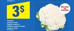 Maxi CHOU-FLEUR | CAULIFLOWER offer