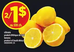 Maxi CITRONS | LEMONS offer
