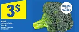 Maxi BROCOLI | BROCCOLI offer