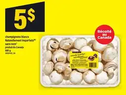 Maxi CHAMPIGNONS BLANCS NATURELLEMENT IMPARFAITS SANS NOM , 680 g offer