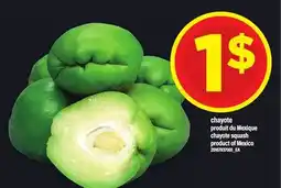 Maxi CHAYOTE | CHAYOTE SQUASH offer